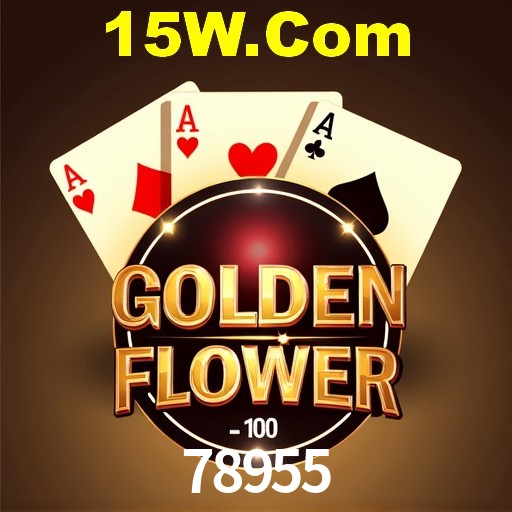 Casino VIP 78955