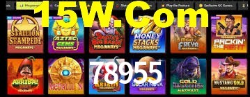 Game Providers 78955