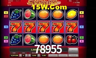 Casino Ao Vivo 78955