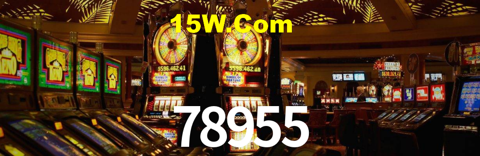 78955 App Interface